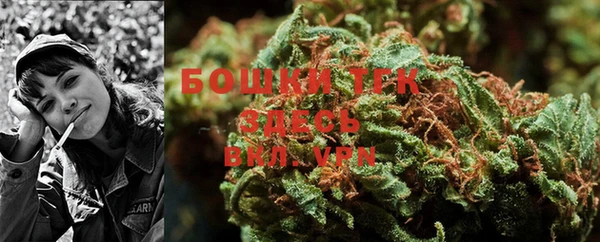ПСИЛОЦИБИНОВЫЕ ГРИБЫ Баксан