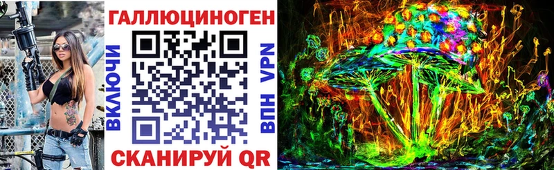 hydra ССЫЛКА  Губаха  Псилоцибиновые грибы MAGIC MUSHROOMS  купить закладку 