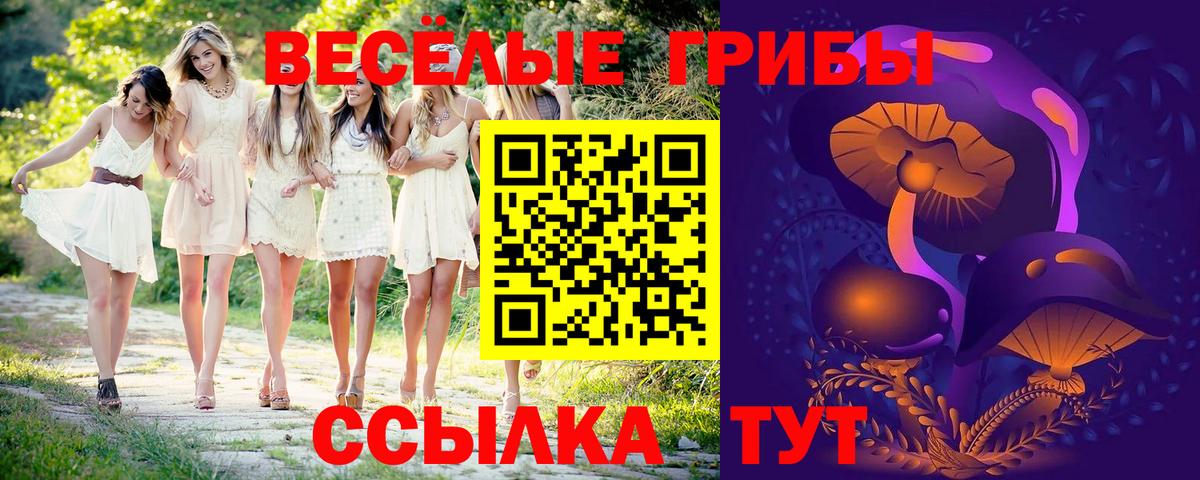 где можно купить   Галлюциногенные грибы мицелий  Вход с VPN  Губаха 