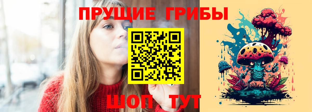 Псилоцибиновые грибы Psilocybine cubensis Губаха